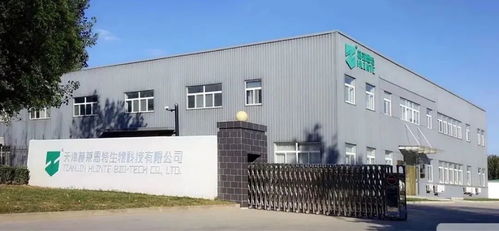 天津京津電子商務產業園 高質量發展的蝶變之旅